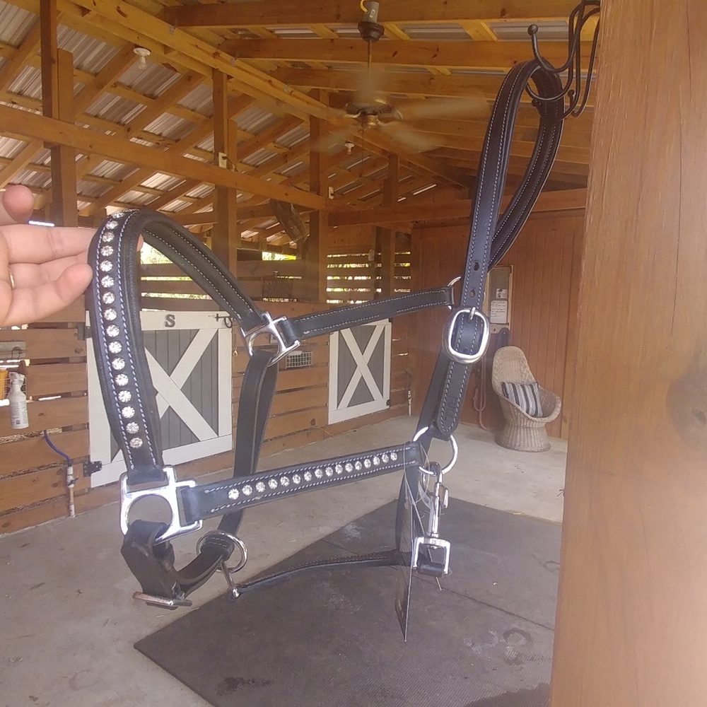 Leather Halter